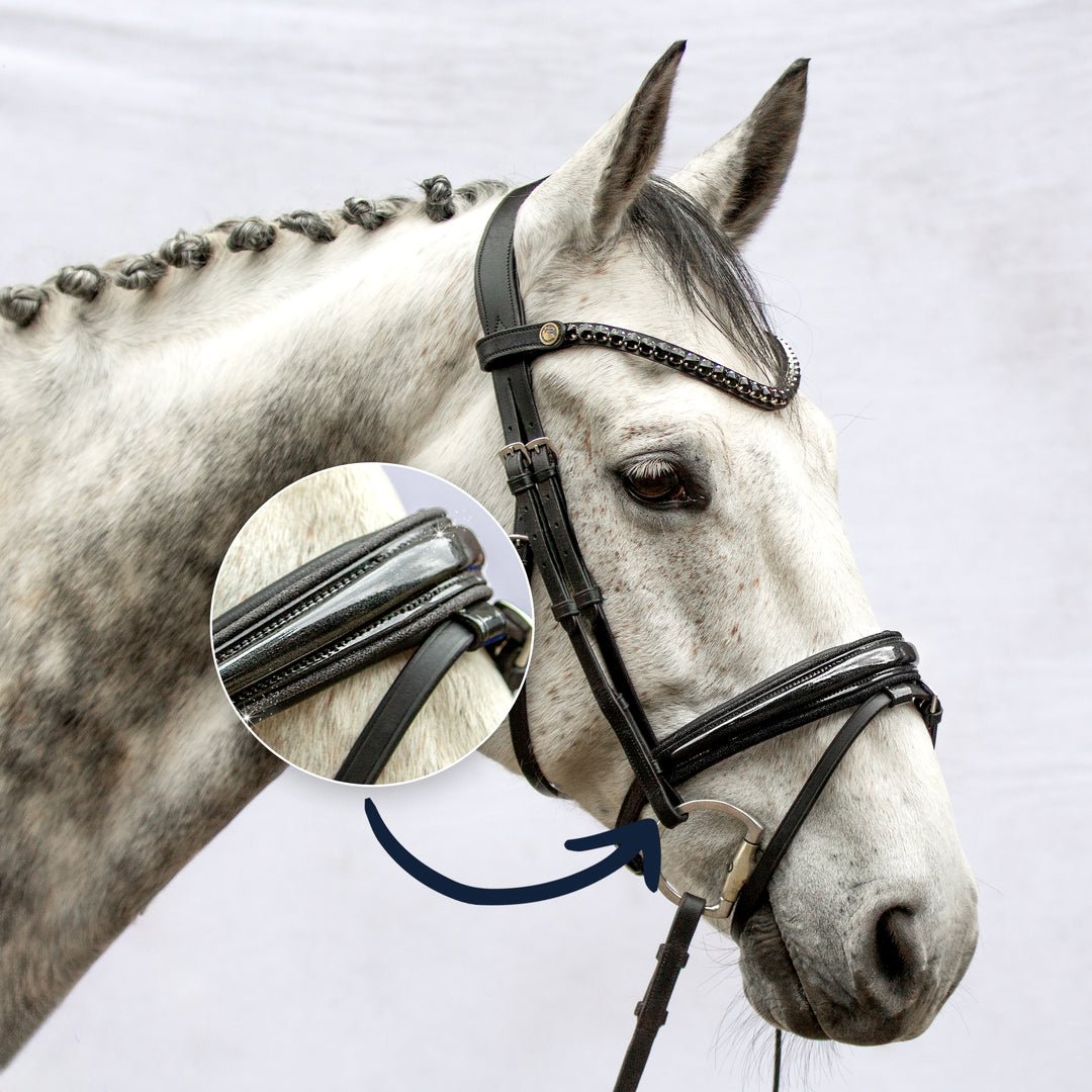 Englische Trense Galaxy – Glitzer-Lack