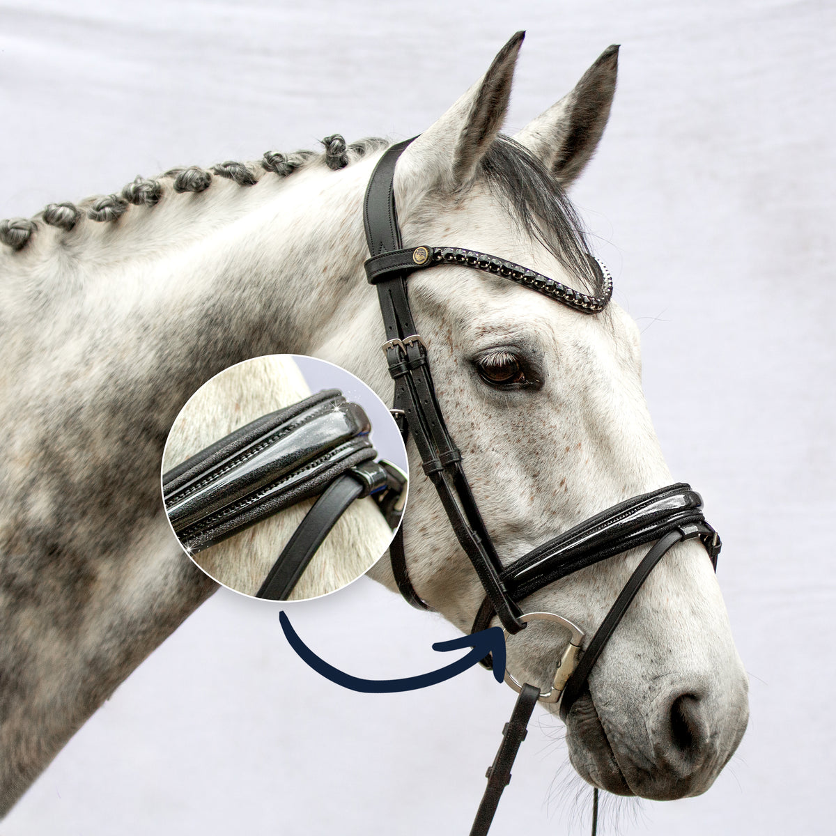 Englische Trense Galaxy – Glitzer-Lack