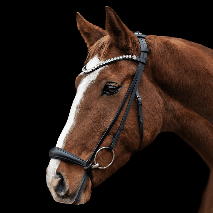 Trense Highlight – hannoversch