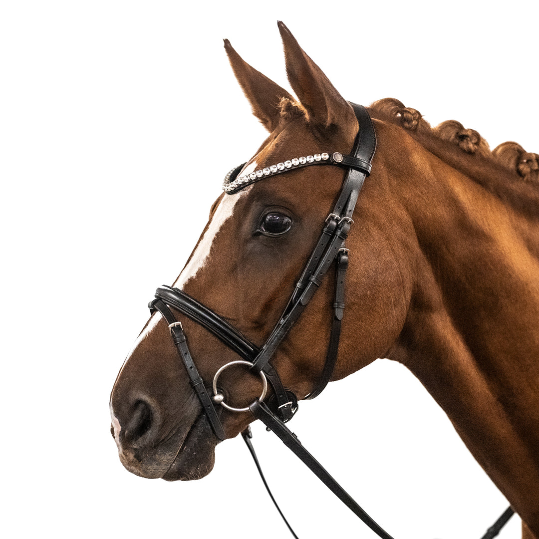 Englische Trense Superior – feine Riemen