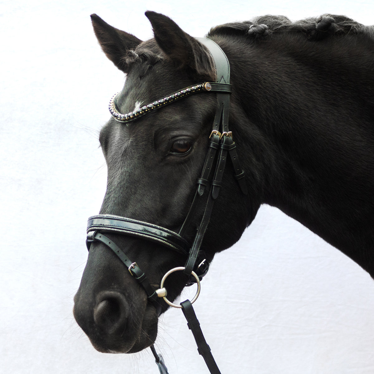 Englische Trense Superior – feine Riemen