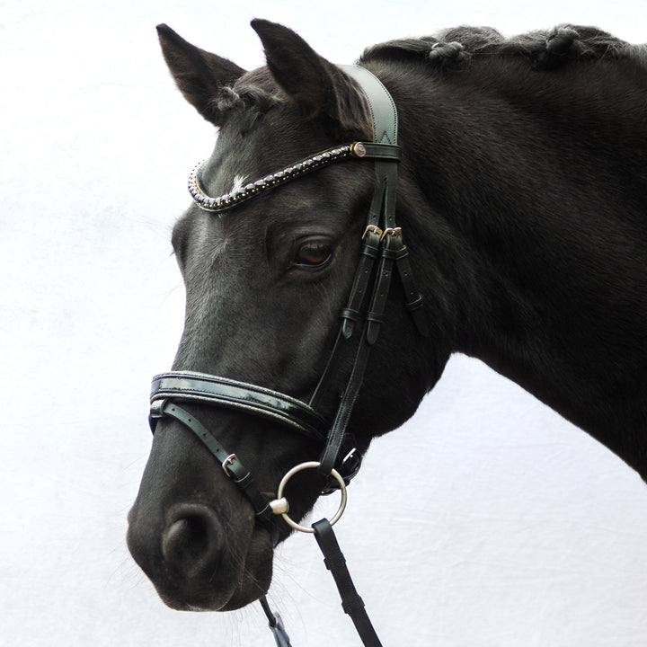 Englische Trense Superior – feine Riemen