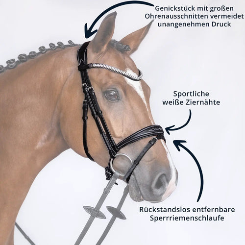 Bridlery anatomische Trense Focus, schwedisch - IQ Horse