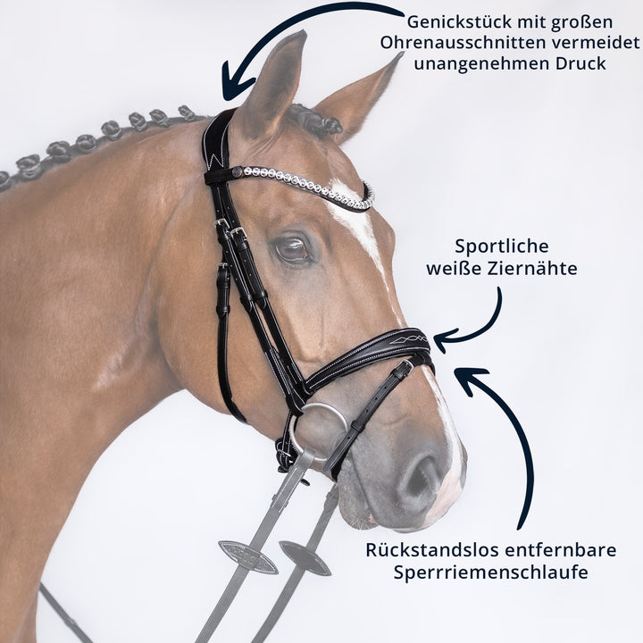 Bridlery anatomische Trense Focus, schwedisch - IQ Horse