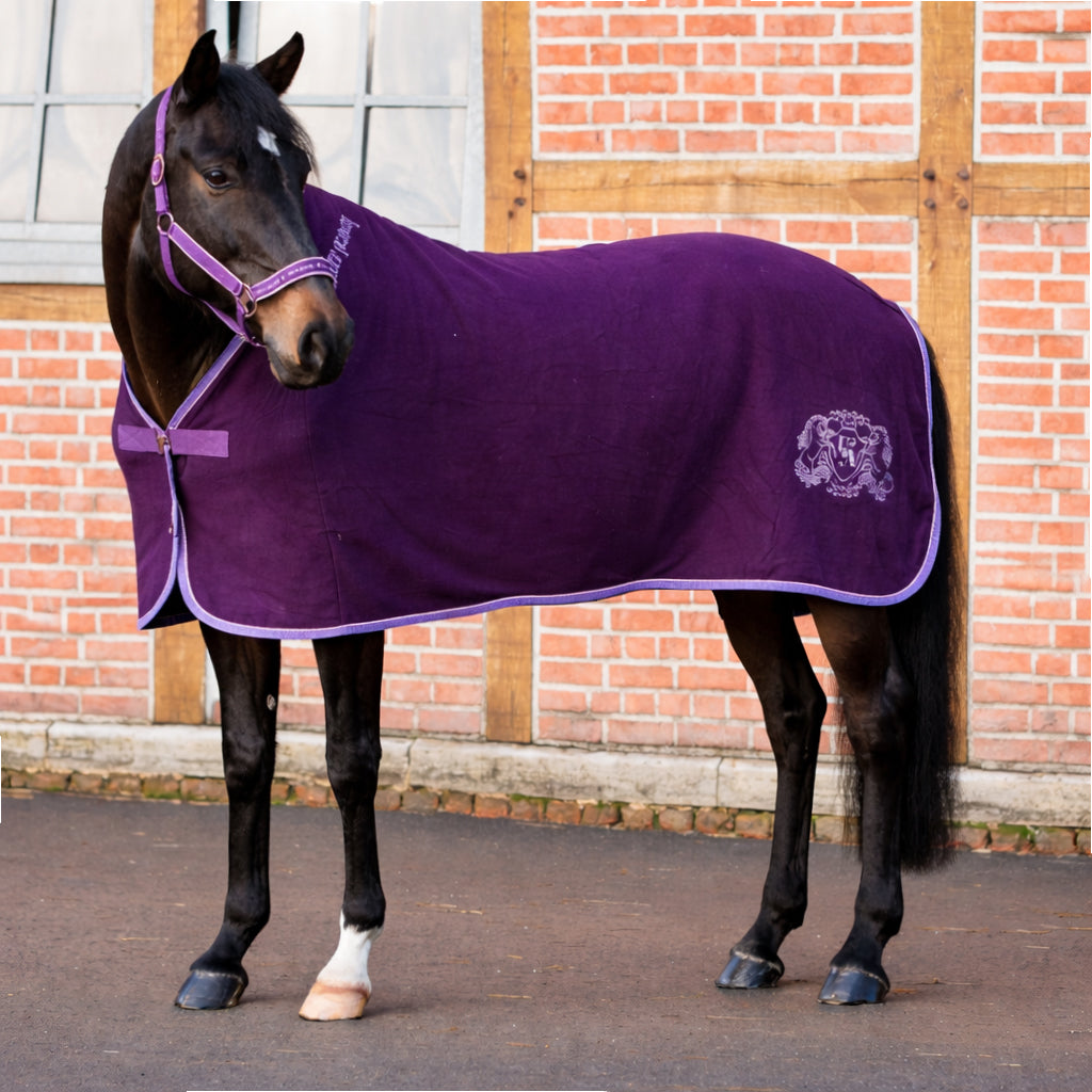 Abschwitzdecke Unicorn Academy – Fleece