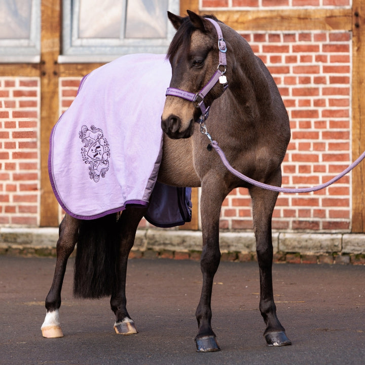 Abschwitzdecke Unicorn Academy – Fleece