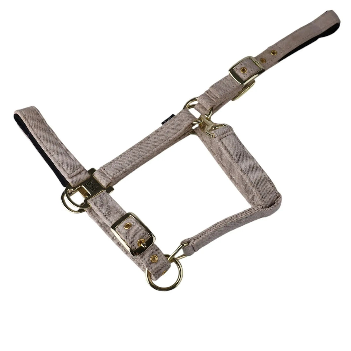 USG Glitzerhalfter ONYX – Halfter im Glitzer - Design - IQ Horse