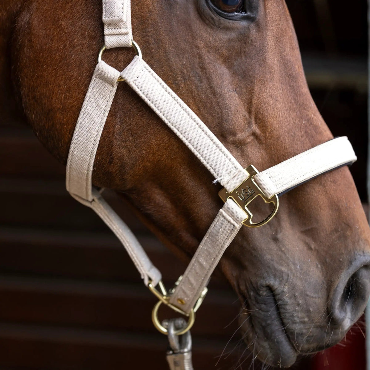 USG Glitzerhalfter ONYX – Halfter im Glitzer - Design - IQ Horse