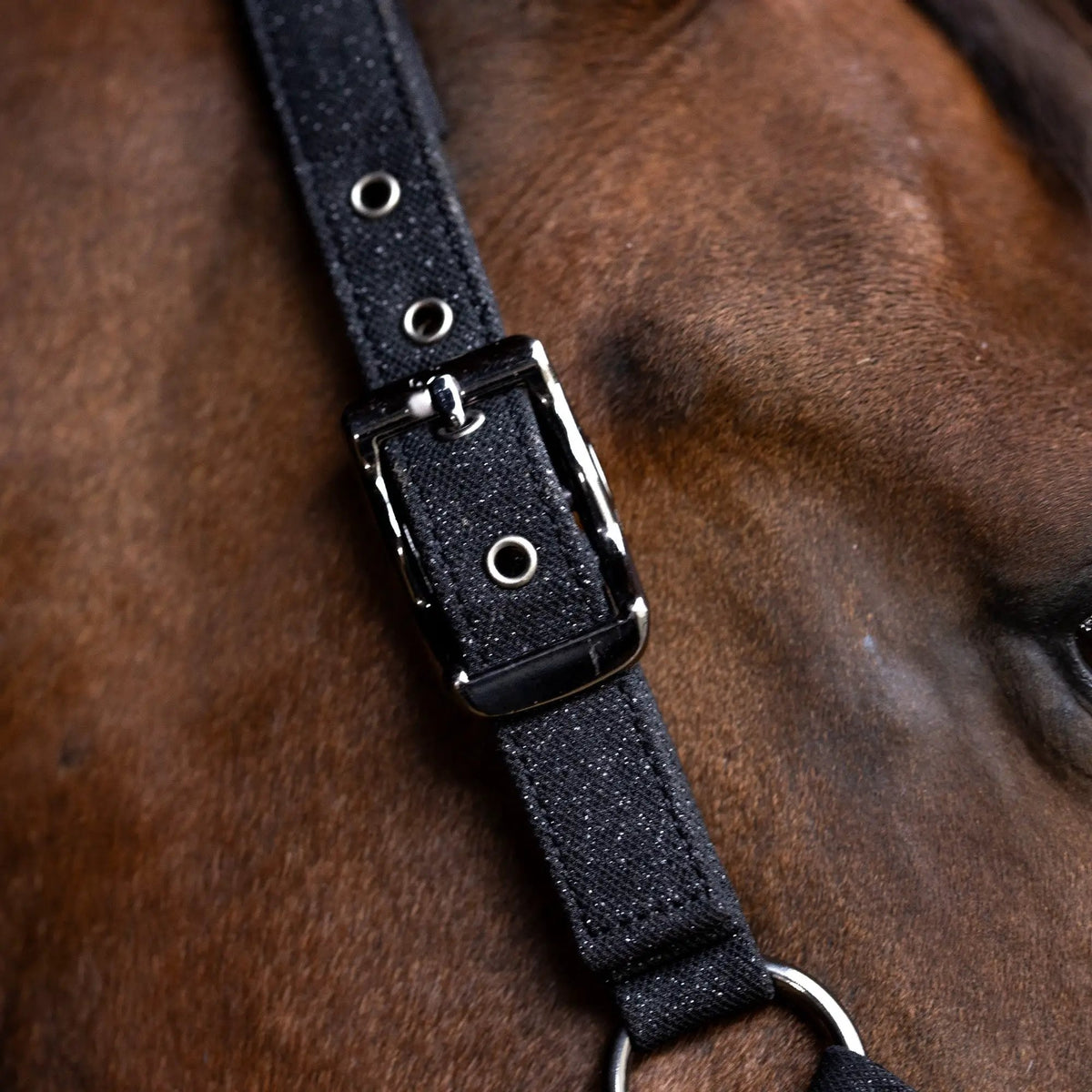 USG Glitzerhalfter ONYX – Halfter im Glitzer - Design - IQ Horse