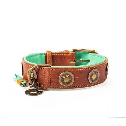 Dog with a Mission – Halsband Urban – robustes Leder, urbaner Look - IQ Horse