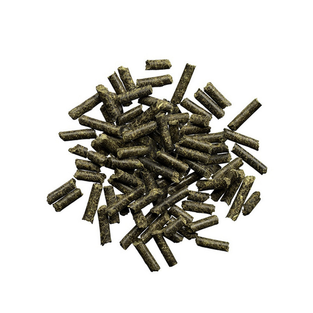 Ergänzungsfutter Magnesium pur – Pellets