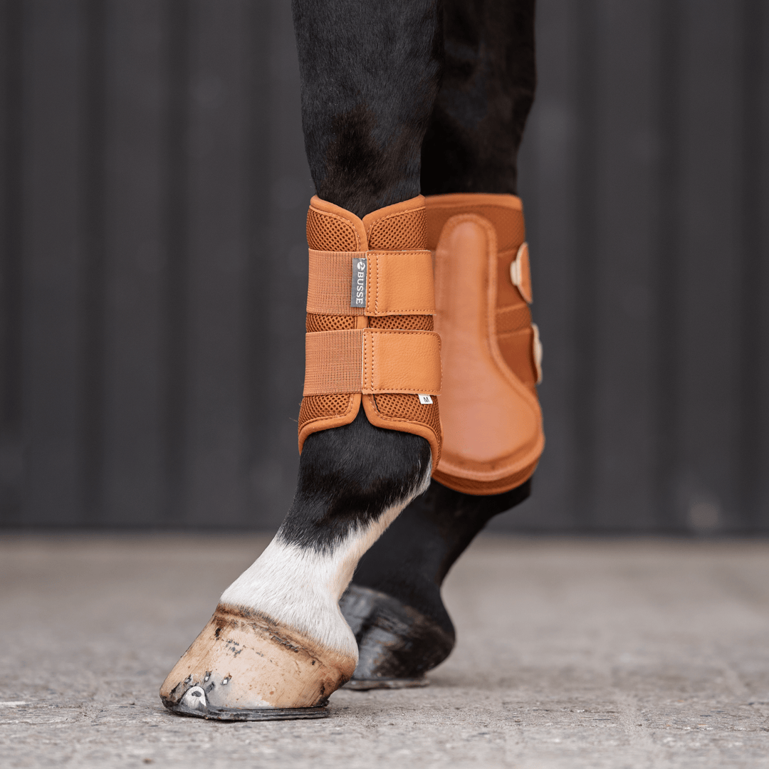 Busse Gamaschen BREEZY - IQ Horse