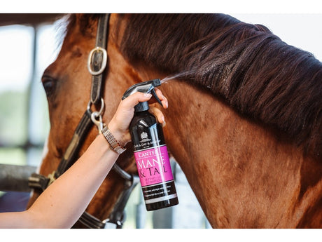 Carr & Day & Martin Mähnenspray, Mane & Tail Conditioner, 500ml - IQ Horse