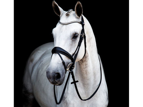 Stübben 2in1 Trensenzaum & Kandarenzaum 2810 Switch mit Stirnband Magic Tack (schwarz matt/schwarz) - IQ Horse