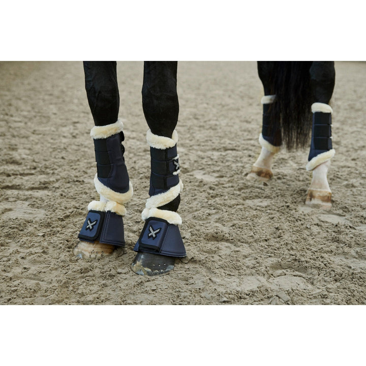 Kingsland Gamaschen KLarica HW22 - IQ Horse