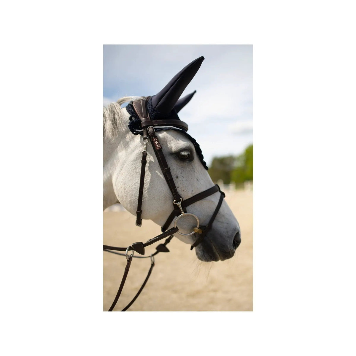 Kingsland KLemmalyn Fliegenmütze, Schwarz - IQ Horse