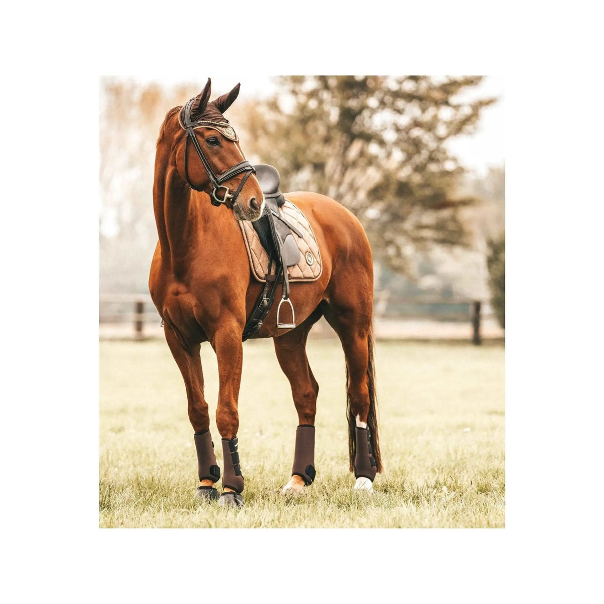 Back on Track Haze Collection Fliegenhaube, braun meliert - IQ Horse