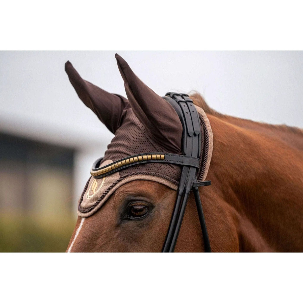 Back on Track Haze Collection Fliegenhaube, braun meliert - IQ Horse