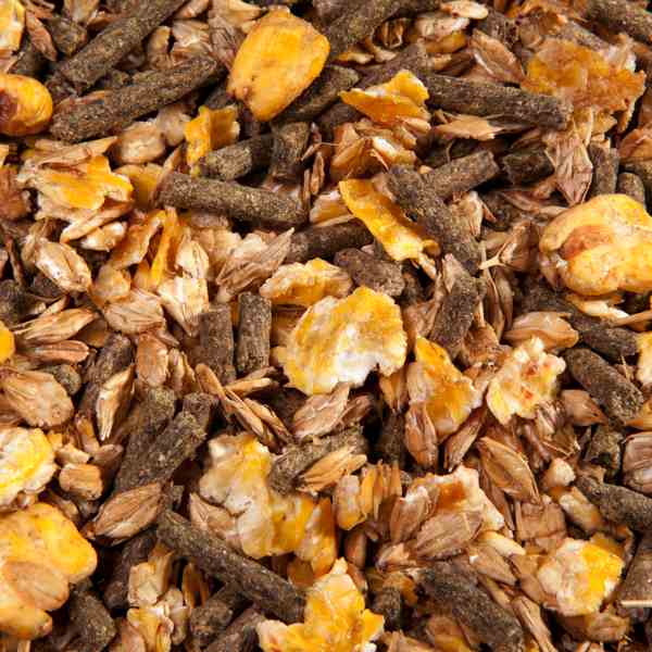 Müsli EMH Cool – eiweißreduziert, 20 kg