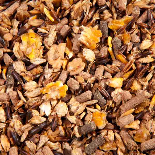 Müsli EMH Zucht &amp; Aufzucht – 20 kg