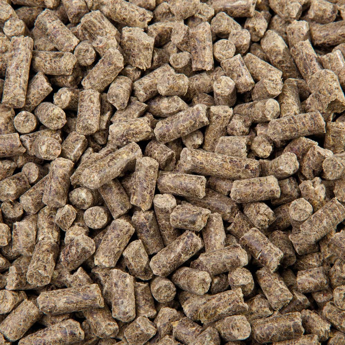 Spezialfutter ReVital Cubes – 25 kg