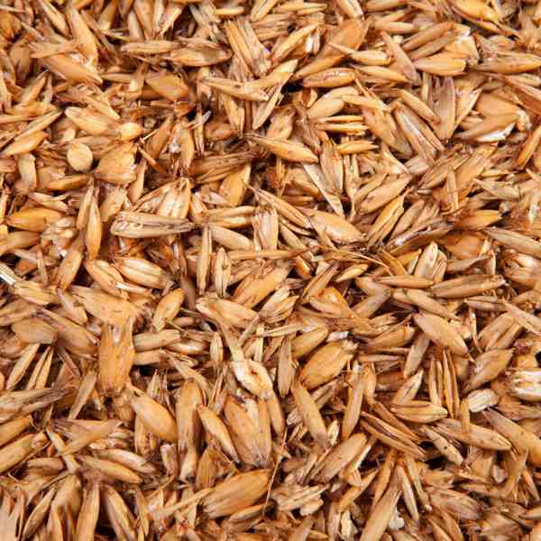 Hafer Walzhafer – aufgeschlossen, 15 kg