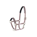 Headcollar PIN BUCKLE, ALMOND CREAM POWDER