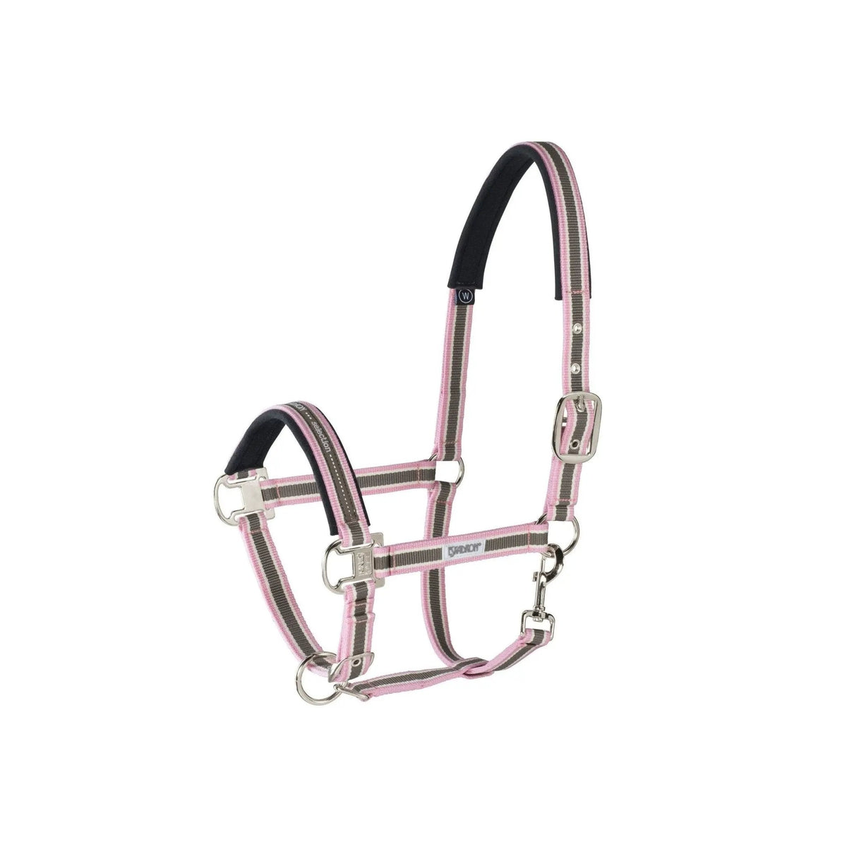 Eskadron Halfter PIN BUCKLE, ALMON - CREME - POWD - IQ Horse