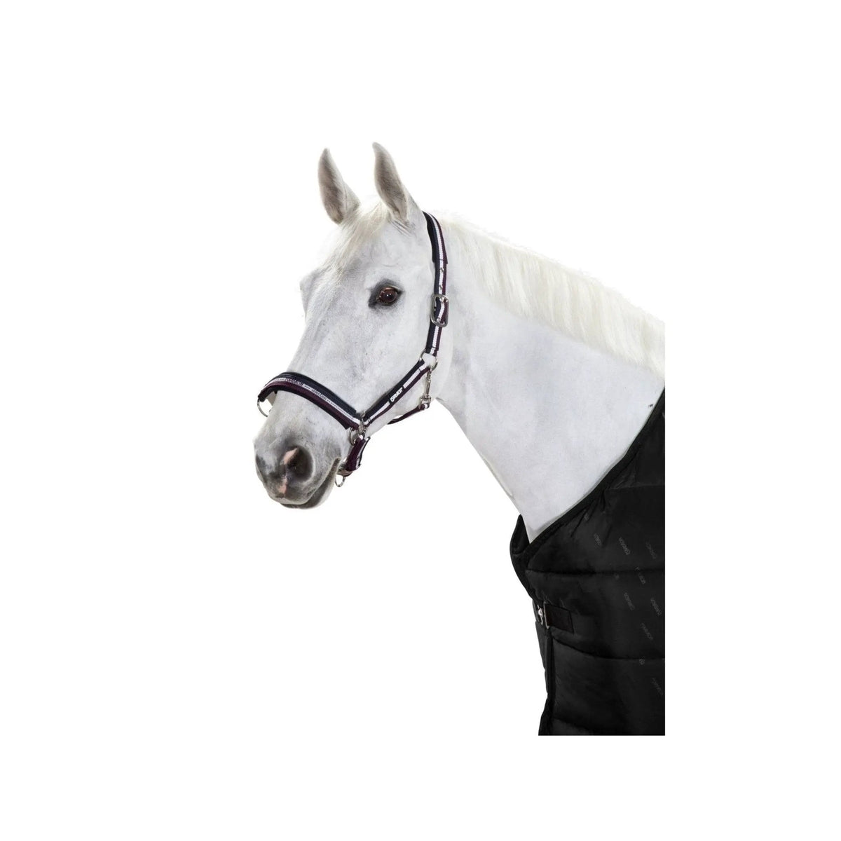 Eskadron Halfter PIN BUCKLE (NIGHTBLUE - WHITE - BLACKBERRY) - IQ Horse