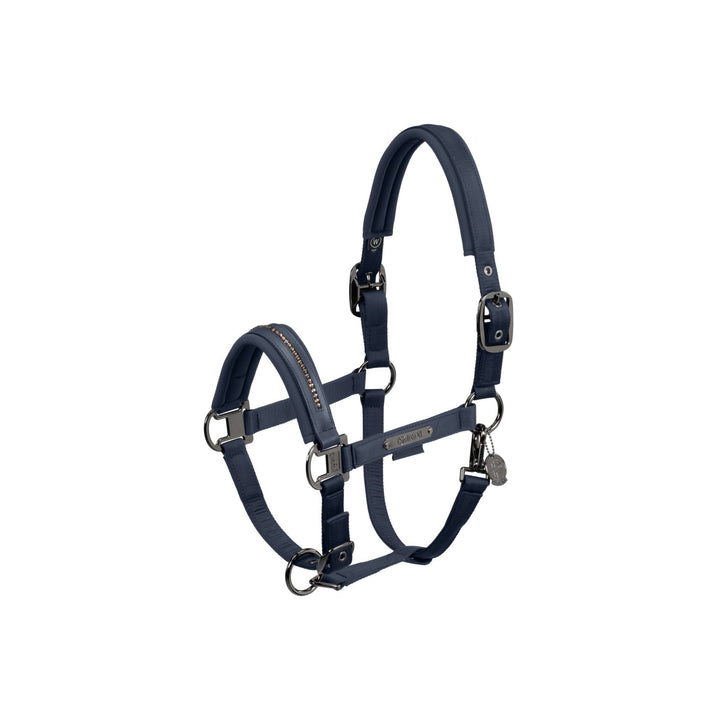 Halfter DOUBLE PIN GLOSSY CRYSTAL PLATINUM 24 - IQ Horse