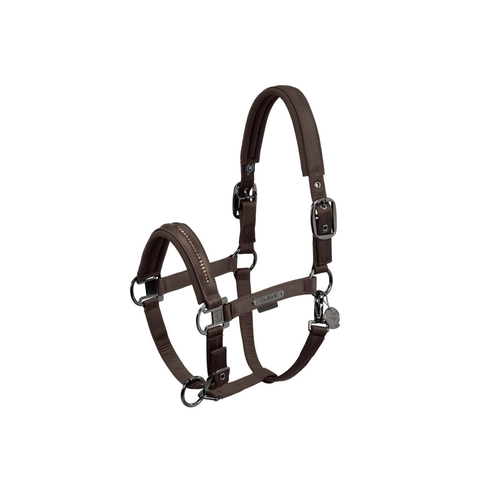 Halfter DOUBLE PIN GLOSSY CRYSTAL PLATINUM 24 - IQ Horse