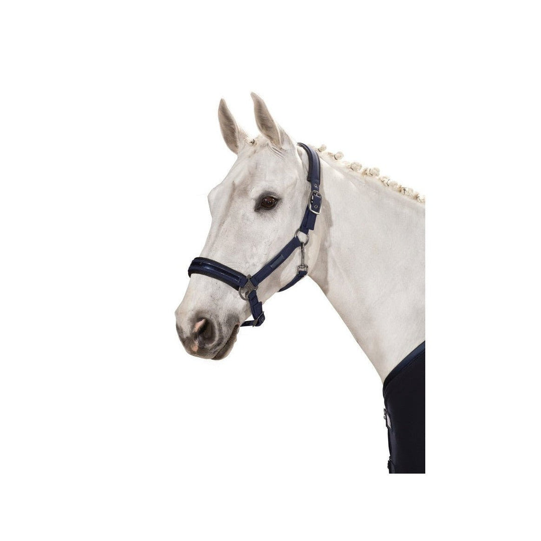 Eskadron Halfter DOUBLEPIN SOFTSHELL Classic Sports 21 S/S, navy - IQ Horse