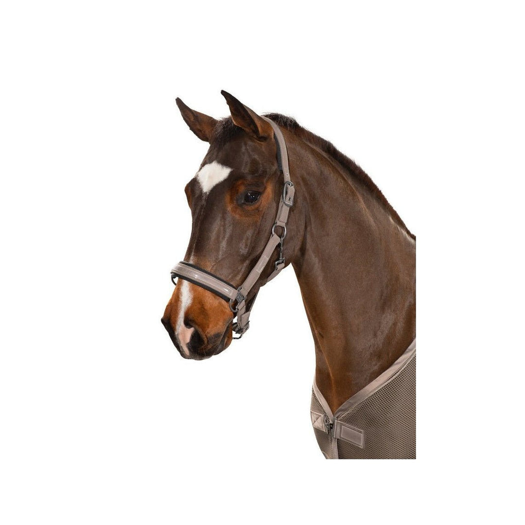 Eskadron Halfter DOUBLEPIN SOFTSHELL Classic Sports 21 S/S, tendertaupe - IQ Horse