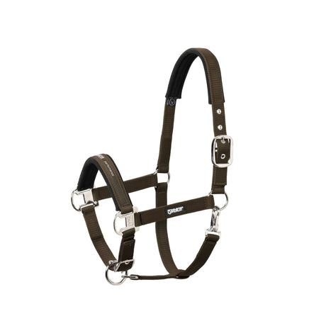 Eskadron Halfter PIN BUCKLE Basics (DARKBROWN) - IQ Horse