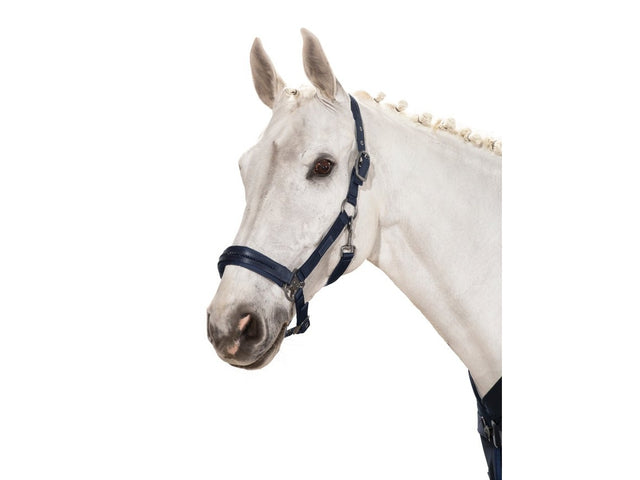 Eskadron Halfter DOUBLEPIN GLOSSY CRYSTAL Classic Sports 21 S/S, navy - IQ Horse