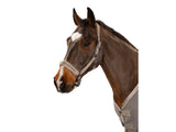 Eskadron Halfter DOUBLEPIN GLOSSY CRYSTAL Classic Sports 21 S/S, Tendertaupe - IQ Horse