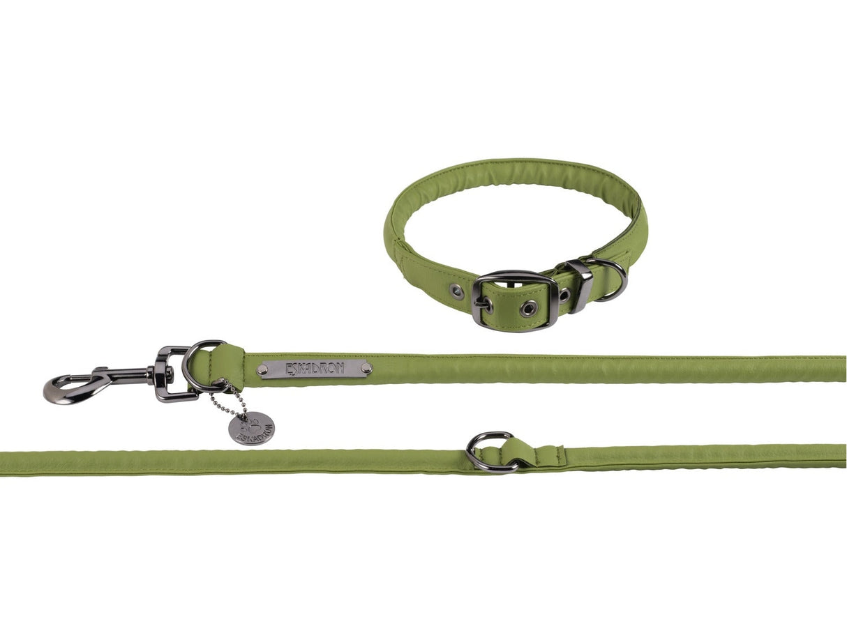 Hundeset FAUX LEATHER PLATINUM 24, moss green