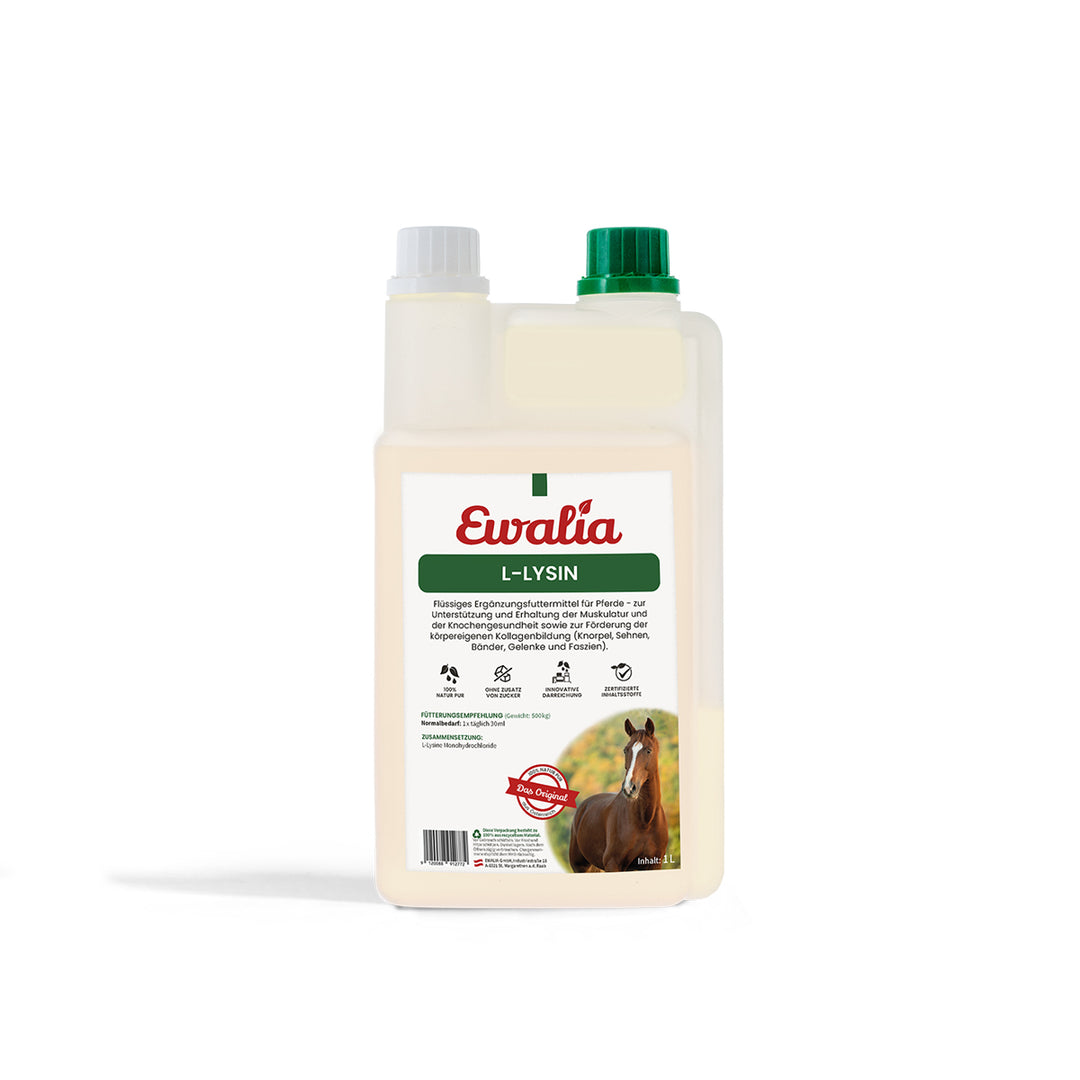 L-Lysin – flüssig, 1 l