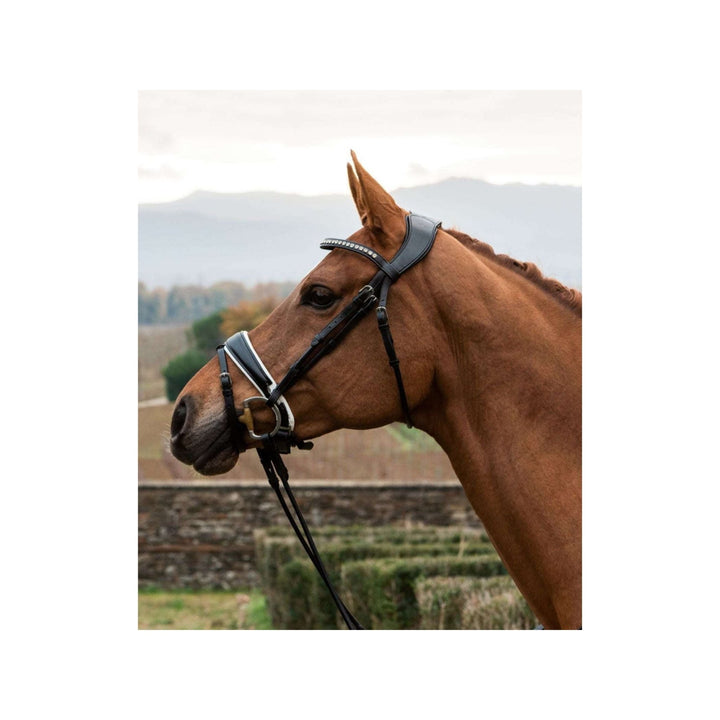 Trense Poesia, anatomisch & Druck entlastend - IQ Horse