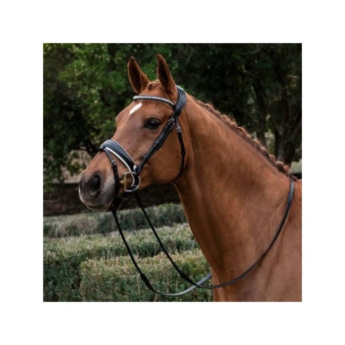 Trense Poesia, anatomisch & Druck entlastend - IQ Horse