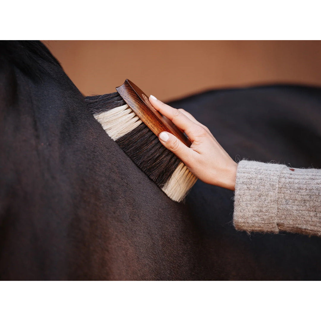 Fellglanzbürste FAVO - IQ Horse
