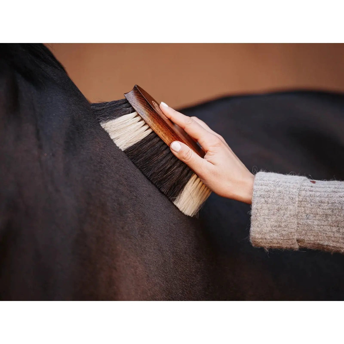 Equimour Fellglanzbürste FAVO - IQ Horse