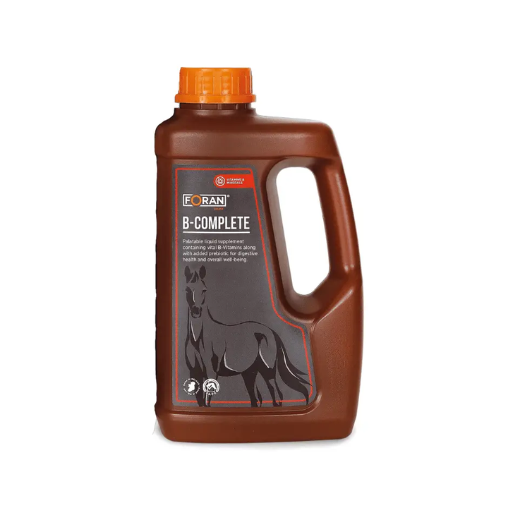 FORAN B - COMPLETE - IQ Horse