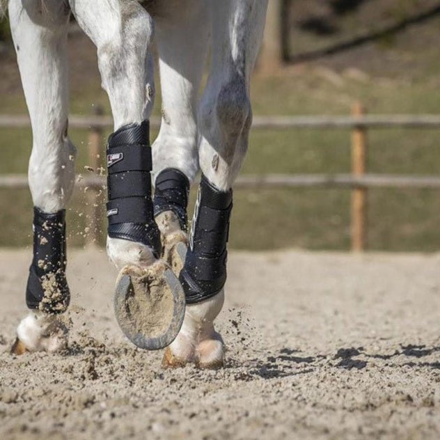 LeMieux Carbon Air XC Gamaschen, Hinten - IQ Horse