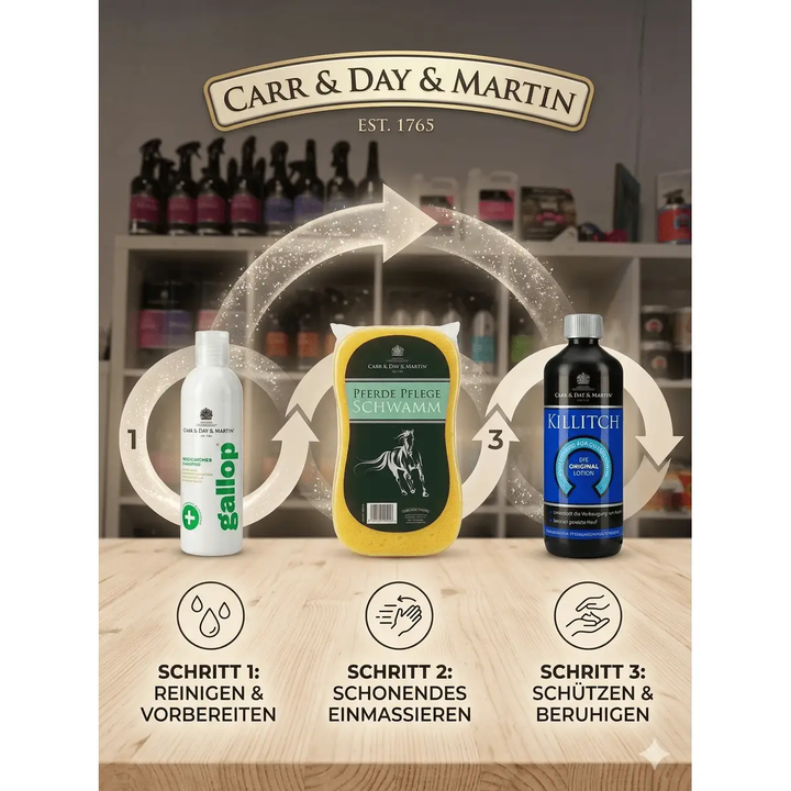 Carr &amp; Day &amp; Martin Systempflege - Set: Killitch Lotion + Gallop Shampoo + Schwamm - IQ Horse