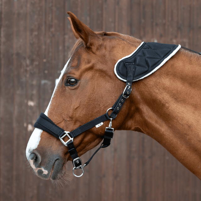 Halfter Akut mit Quittpad® 3D - Textil - IQ Horse