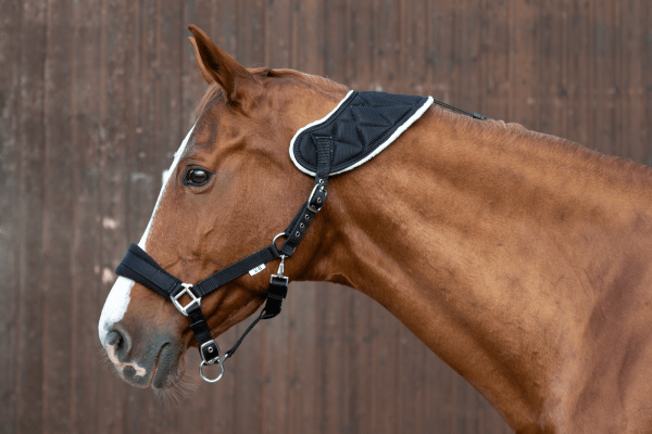 Halfter Akut mit Quittpad® 3D - Textil - IQ Horse