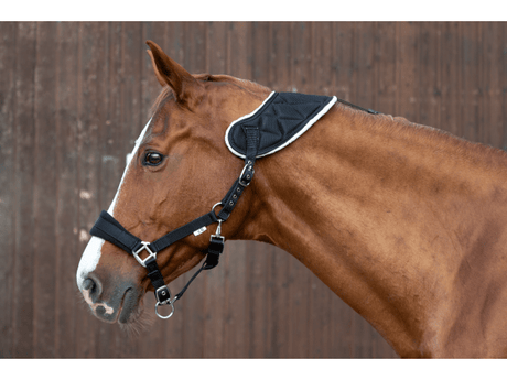 Halfter Akut mit Quittpad® 3D - Textil - IQ Horse