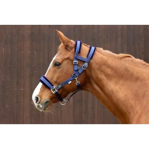 NeXaver® Halfter Nylon Faux Fur - IQ Horse