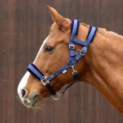 NeXaver® Halfter Nylon Faux Fur - IQ Horse